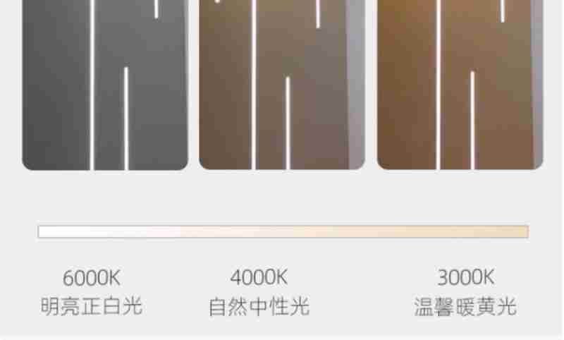 人民日报社记者郑洋洋提问。